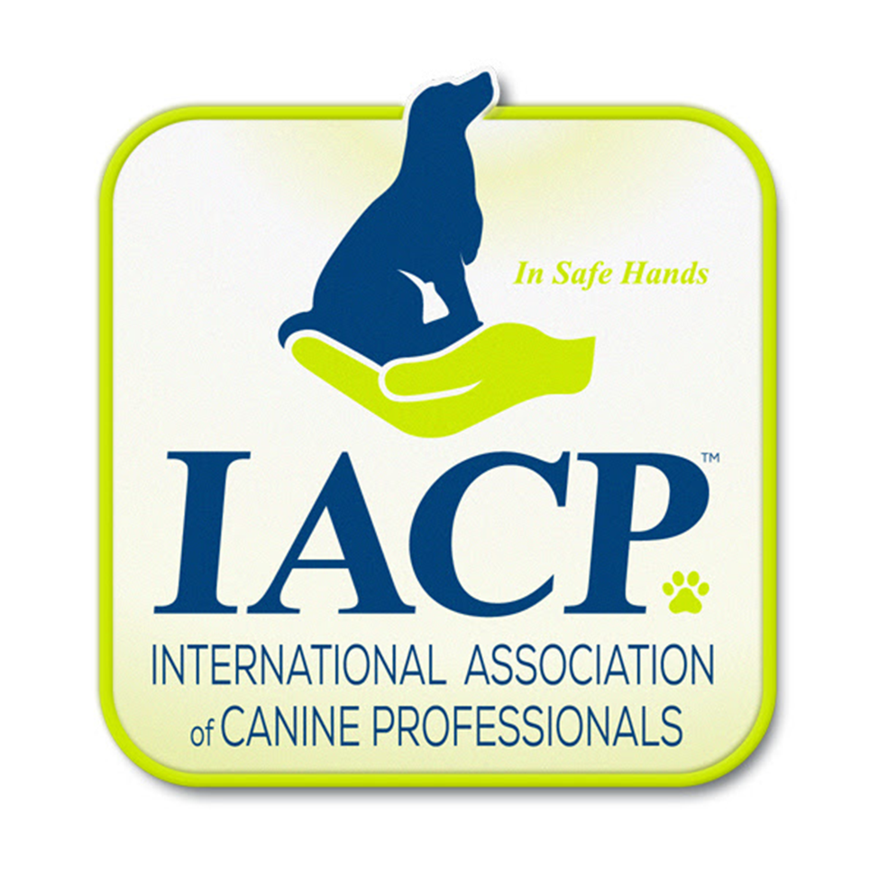 An organization established to maintain the highest standards of professional and business practice among canine professionals. Founded by a small group of dedicated dog trainers the IACP has become the Association and network that brings together professionals from every corner of the dog world. The aim, to continually develop and provide the best of dog care to the public and their canine companions. 